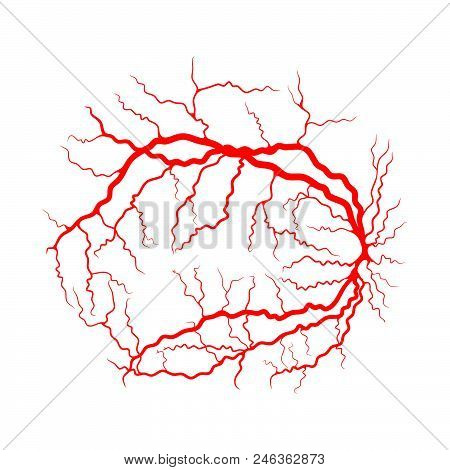 Eye Vein System X Ray Angiography Vector Design Isolated On White