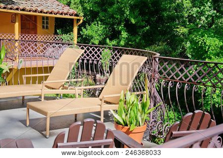 Green Summer Backyard Garden With Grass And Passway And Fance