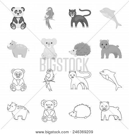 Rhino, Koala, Panther, Hedgehog.animal Set Collection Icons In Outline, Monochrome Style Vector Symb