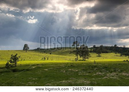 Stormy Landscape Of The Zlatibor Mountain In Serbia