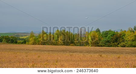 Rural Scenery In Biei, Japan