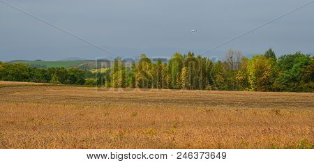 Rural Scenery In Biei, Japan