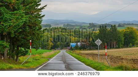 Rural Road In Hokkaido, Japan