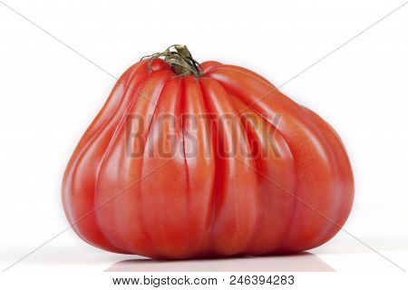 A Weird Tomato Isolated On White Background.