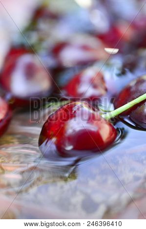 Red Ripe Raw Cherries With Waterdops,image Of A