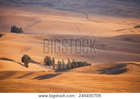 A View Of The Palouse From The Top Of Steptoe Butte In Eastern Washington, Usa