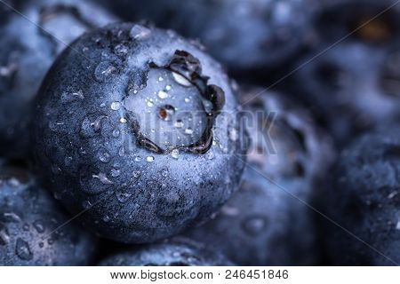 Fresh Ripe Blueberries With Drops Of Dew. Berry Background. Macro Photo.