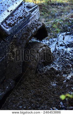 Fragment Of Car Stuck In Dirt, Close Up. Offroad Tire Covered With Mud On Nature Background. Wheel I