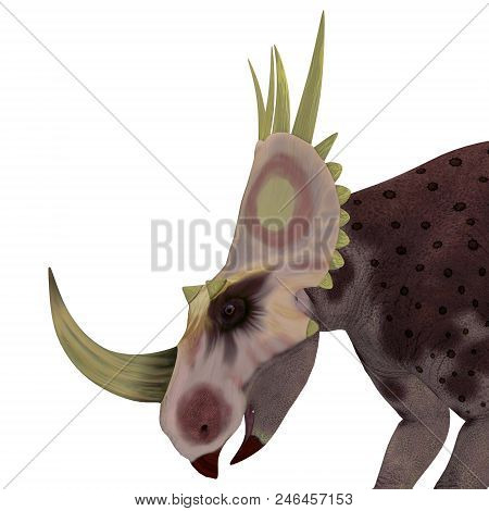 Rubeosaurus Dinosaur Head 3d Illustration - Rubeosaurus Was A Herbivorous Ceratopsian Dinosaur That 