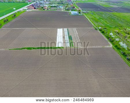 A Greenhouse For Cucumbers And A Tomato. Greenhouses In The Field.