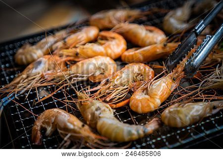Food Sea Red Seafood Thai Thailand Bbq Cooking