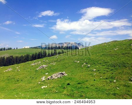 View On The  The Oetscher From The Feldwiesalm, Austria