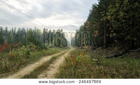 The Road To The Forest, The End Of Summer. Siberia. Live Photo.