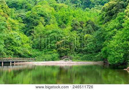 Green Trees And Reflections On The Water Surface In Qingcheng Mountain, Sichuan, China