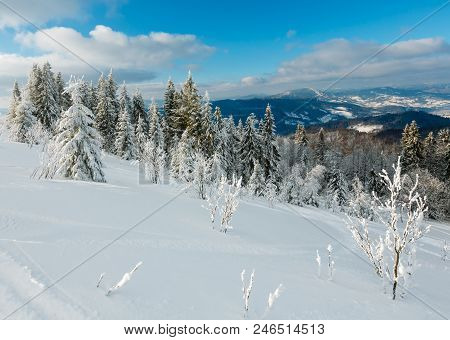 Winter Calm Mountain Landscape With Beautiful Frosting Trees And Snowdrifts On Slope (carpathian Mou