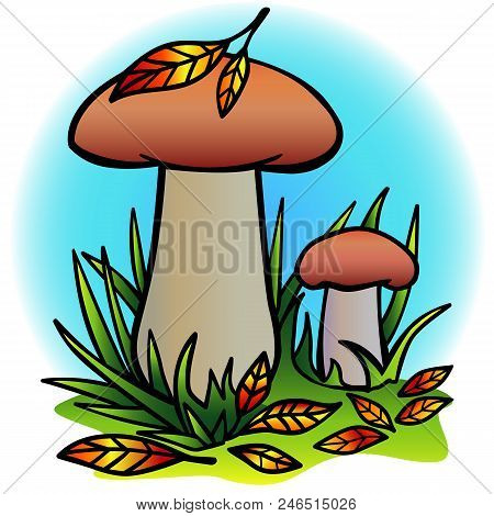 Mushrooms In Green Grass And Autumn Leaves