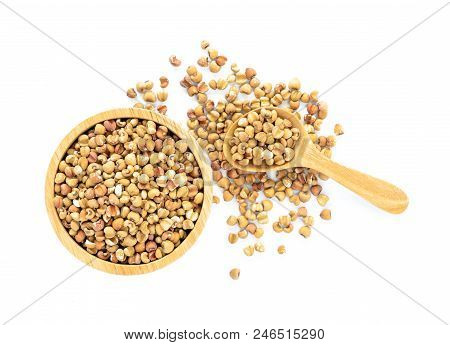Job's Tears Whole Unpolished Grains Isolated On White Background