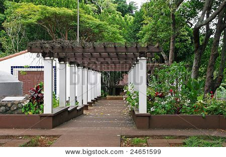 Arbor