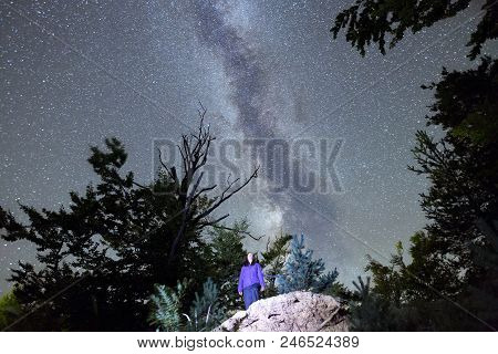Young Woman Watches The Milky Way With Trees Forest Silhouette In The Foreground. Night Sky Nature S