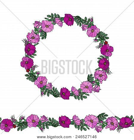 Round Frame And Endless Brush With Wild Roses. Summer Flowers Greeting Card Or Wedding Background. H