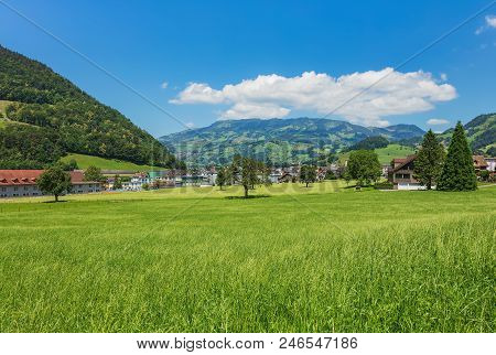 A Summertime View In The Swiss Canton Of Schwyz, The Picture Was Taken At The End Of June In The Reg