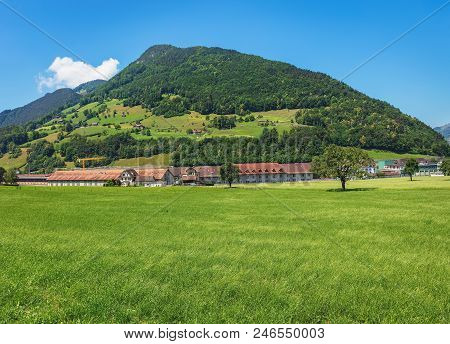 A Summertime View In The Swiss Canton Of Schwyz, The Picture Was Taken At The End Of June In The Reg