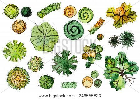 Set Of Hand Drawn Watercolor Pictorial Landscape Design Elements: Plan Of Different Types Of Green, 
