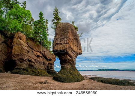 The Hopewell Rocks also known as the flowerpot rocks, along the Bay of Fundy, New Brunswick, Canada.