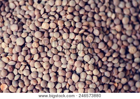 Laird lentils textures