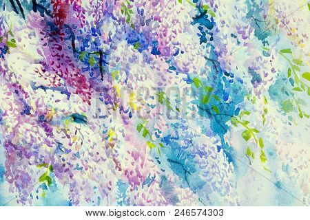 Abstract Watercolor Wisteria Flowers.
