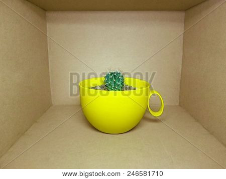 A Small Globular Cactus In A Bright Yellow Pot Is Inside A Brown Rectangular Box. Colorful Creative 
