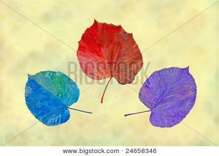 秋季不太可能的颜色