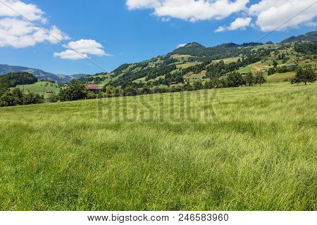 A Summertime View In The Swiss Canton Of Schwyz, The Picture Was Taken At The End Of June In The Reg