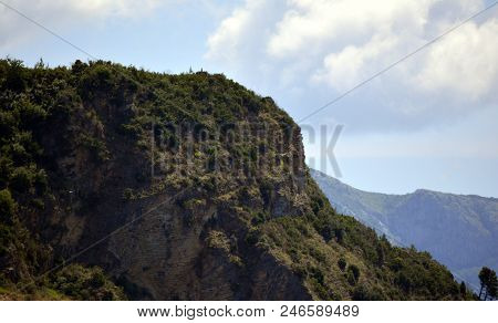 Serbian Mountains With Trees Landscape Of Montenegro.