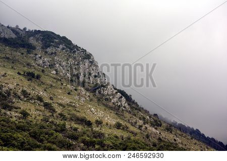 A View Of The Rocky Mountains With A Forest In Serbia Against The Background Of Fog.