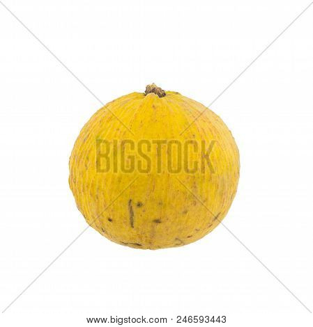 Sentul Yellow Isolated On The White Background.