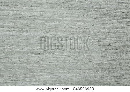 Light Grey Oak Veneer Texture For Your Image. High Resolution Photo.