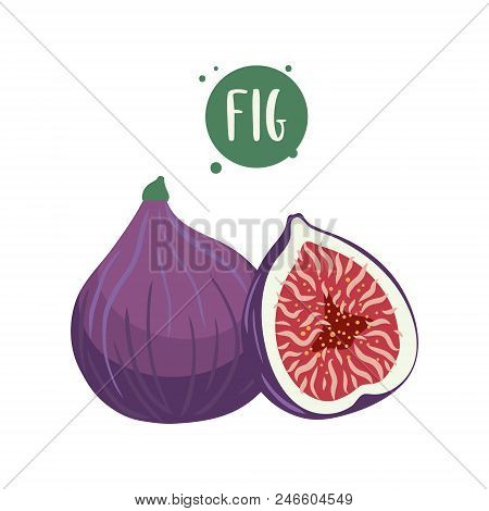 Hand-drawn Illustrations Of Fig Fruits. Sliced And Whole Cartoon Fig. Template For Your Design.