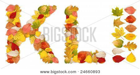 Zeichen K und L, hergestellt aus Herbstlaub