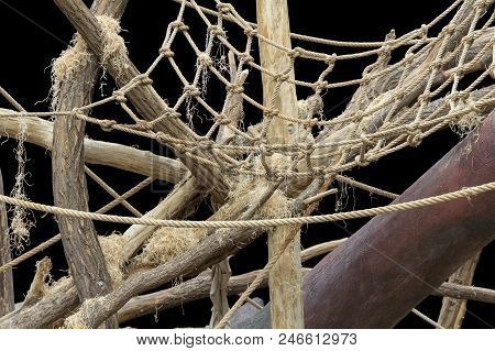 Jungle Gymn For Animals In Black Back