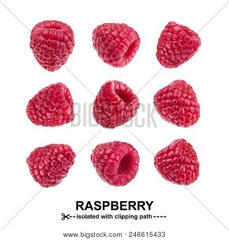 Raspberry Collection. Raspberries Isolated On White Background With Clipping Path. View From Differe