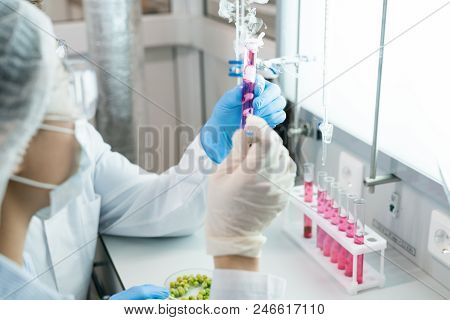Crop Back View Of Microbiologists In Mask, Glasses And Gloves Analyzing Vegetable Sample In Tube Wit