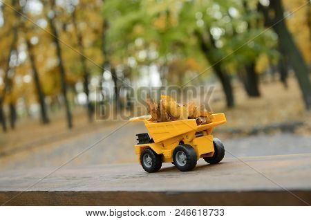 A Small Toy Yellow Truck Is Loaded With Yellow Fallen Leaves. The Car Stands On A Wooden Surface Aga