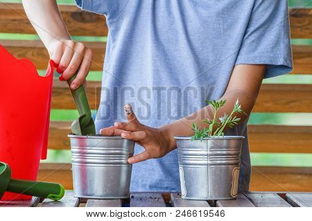 Kid Hands Gardening In Balcony, Terrace In Backyard