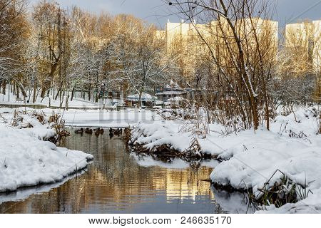 In The Winter Forest, The Winter River Runs.