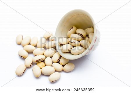 Ayurvedic Herb Kaunch Or Velvet Bean Or Bengal Velvet Bean Or Kapikachhu Or Mucuna Pruriens Isolated