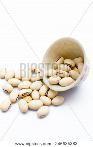 Ayurvedic Herb Kaunch Or Velvet Bean Or Bengal Velvet Bean Or Kapikachhu Or Mucuna Pruriens Isolated