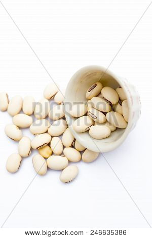Ayurvedic Herb Kaunch Or Velvet Bean Or Bengal Velvet Bean Or Kapikachhu Or Mucuna Pruriens Isolated