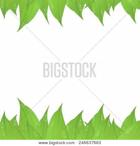Vector Green Card Design Isolated On White Background, Frame Of Green Leaves. Invitation To The Wedd