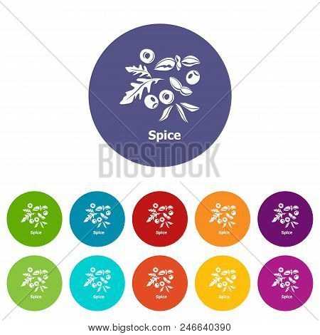 Spice Icons Color Set Vector For Any Web Design On White Background
